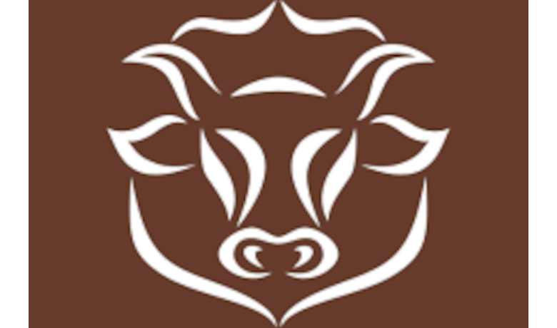bleyer-logo